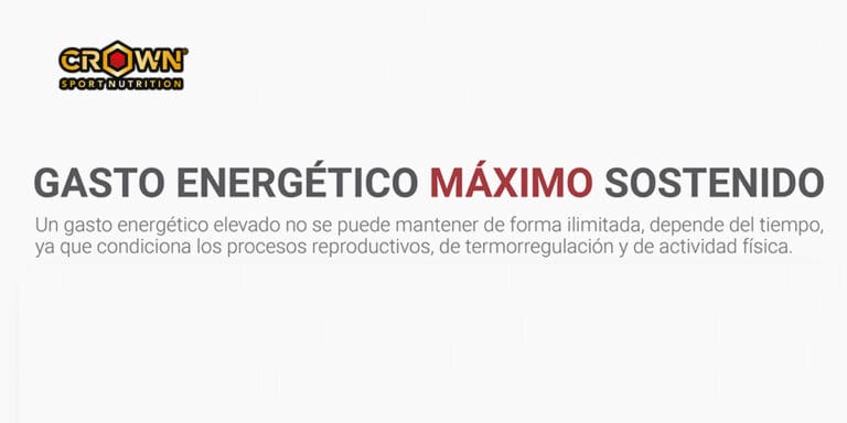¿CUÁL ES EL LÍMITE DE GASTO ENERGÉTICO SOSTENIDO POR EL HOMBRE?